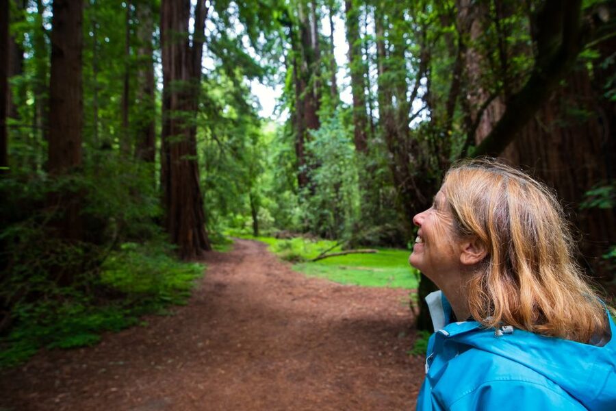 San Francisco: Muir Woods and Sausalito Tour with Admission - Muir Woods: 1.5 Hours Among Coast Redwoods That Reach 250+ Feet