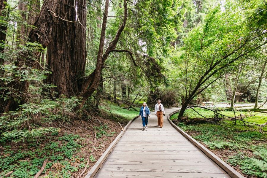 San Francisco: Muir Woods, Napa & Sonoma Valley Wine Tour - Price and value: why $166 can make sense for a first-timer day