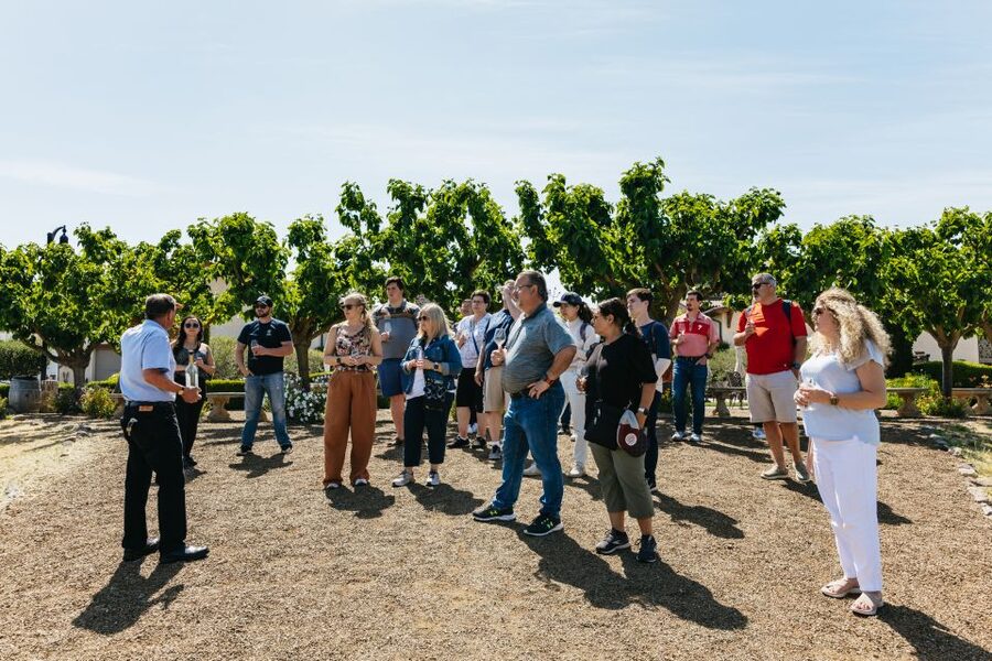 San Francisco: Muir Woods, Napa & Sonoma Valley Wine Tour - How the San Francisco Muir Woods, Napa & Sonoma loop really works