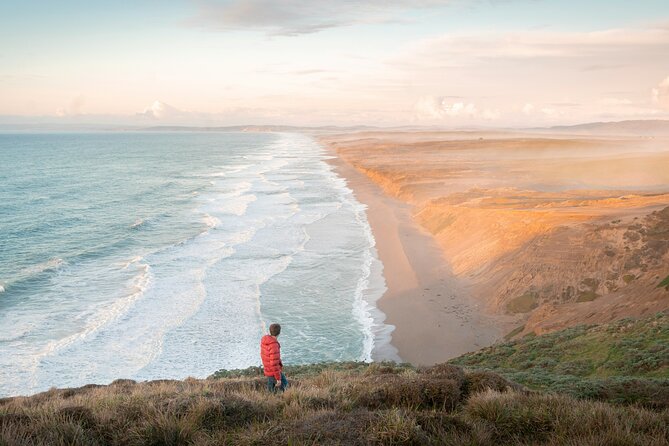 San Francisco: Muir Woods, Point Reyes, and Meadery Tour - Key things to know before you go
