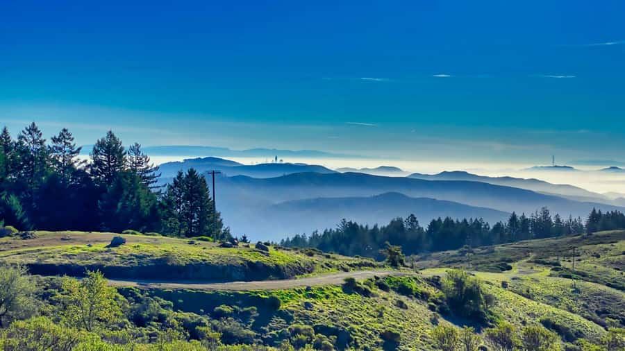 San Francisco: Muir Woods, Point Reyes, and Meadery Tour - A 10-Hour Day on the Road: How to Stay Comfortable