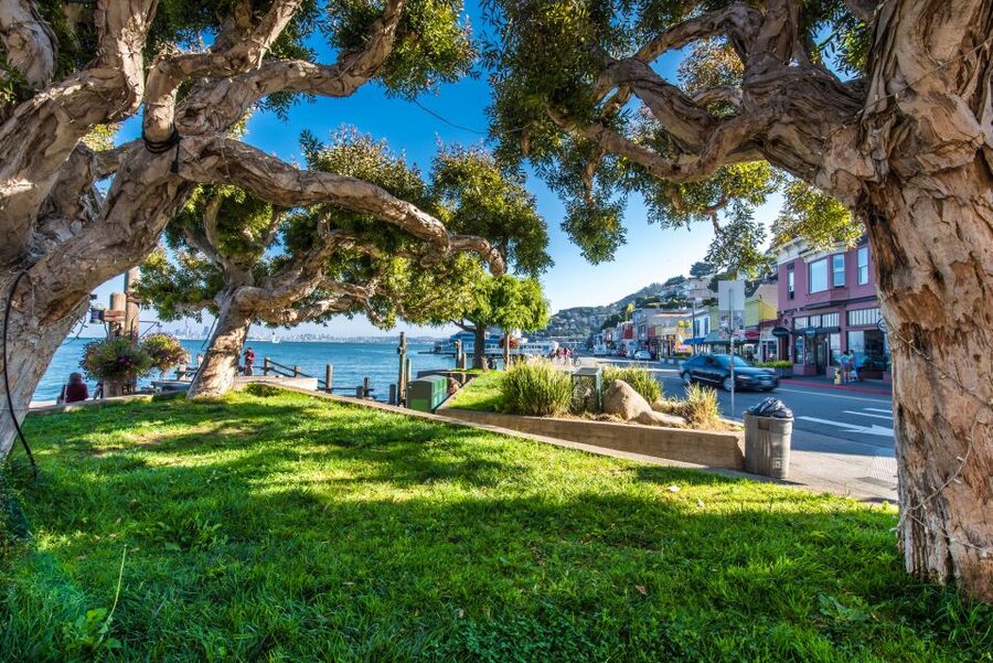 San Francisco: Muir Woods, San Francisco and Sausalito Tour - The Big Picture: What This 6-Hour Mix Does Well