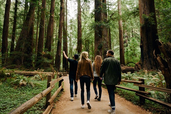 San Francisco, Muir Woods, Sausalito and optional Alcatraz tour - Muir Woods: why this redwood walk is the highlight