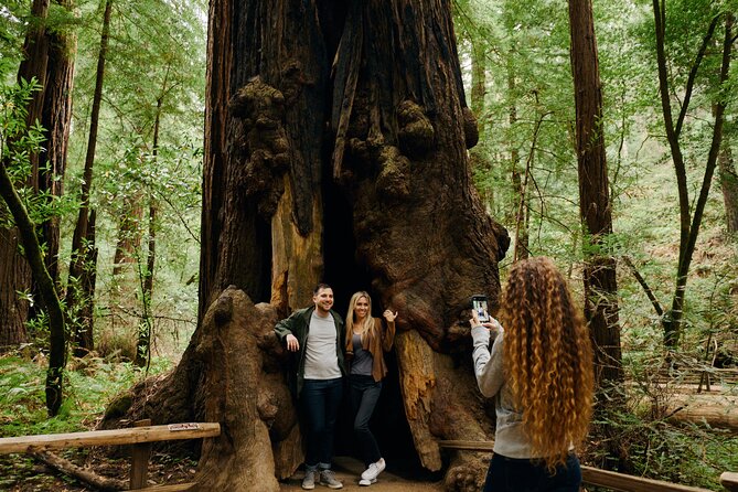 San Francisco, Muir Woods, Sausalito and optional Alcatraz tour - Sausalito for lunch and shopping: a pretty stop with a time reality check