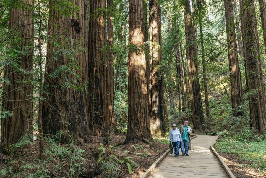 San Francisco: Muir Woods, Sausalito and SF Bay Cruise - Quick checklist: what to bring and how to plan