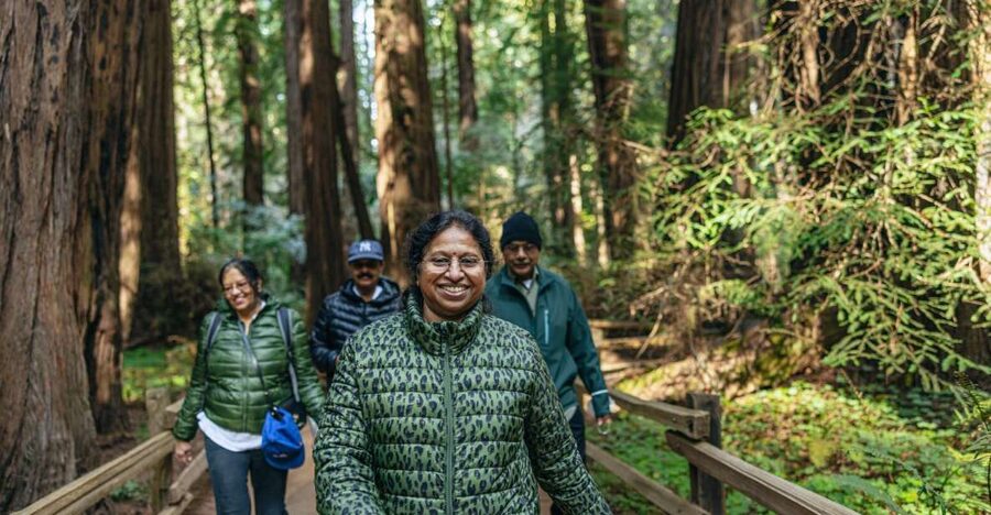 San Francisco: Muir Woods, Sausalito and SF Bay Cruise - Golden Gate views don’t stop: why the drive to the woods matters