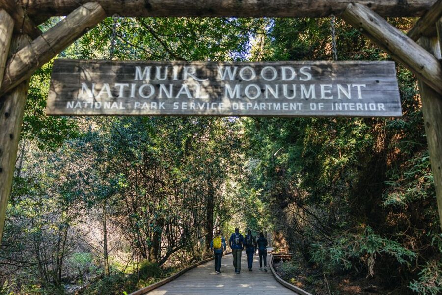San Francisco: Muir Woods, Sausalito and SF Bay Cruise - Price and value: what $133 buys you in the real world