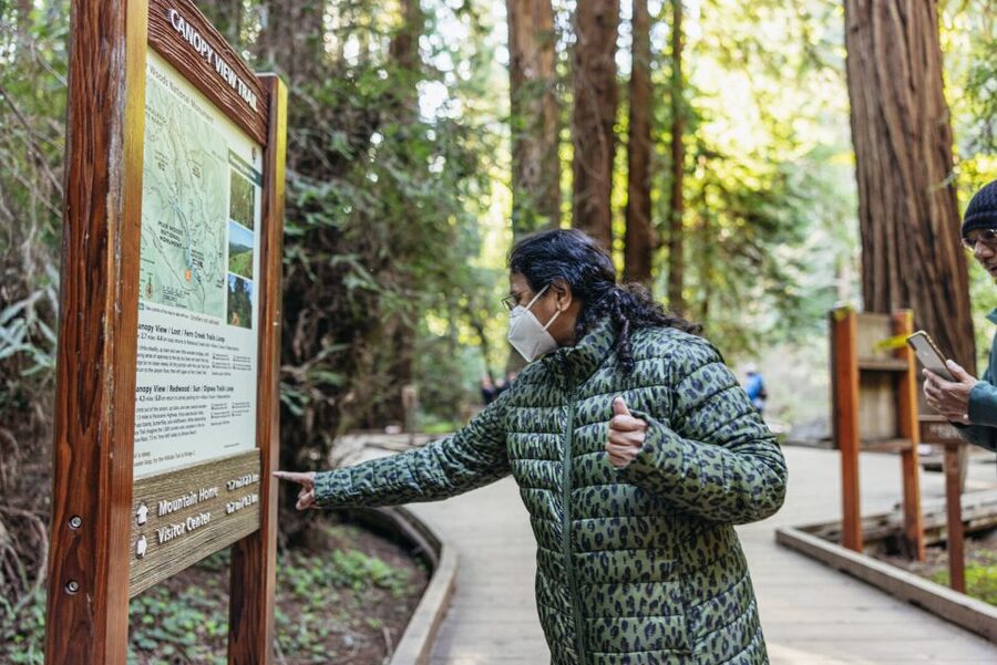 San Francisco: Muir Woods, Sausalito and SF Bay Cruise - Who this tour suits (and who should adjust)