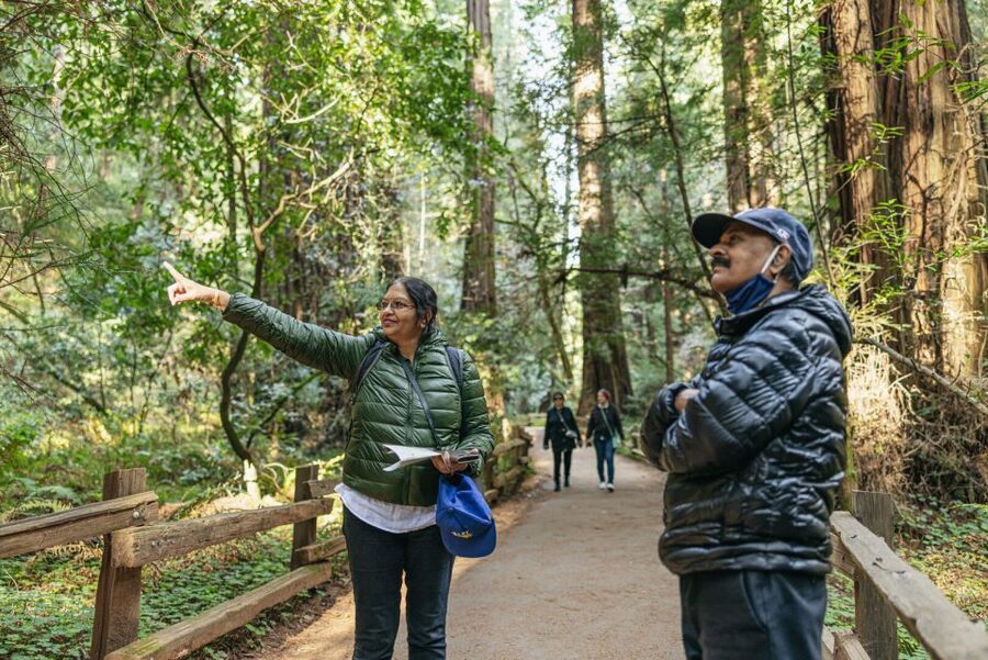 San Francisco: Muir Woods, Sausalito and SF Bay Cruise - Timing tips: get the most out of your walking time