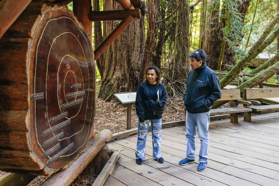San Francisco: Muir Woods, Sausalito and SF Bay Cruise - Muir Woods: 90 minutes under towering redwoods