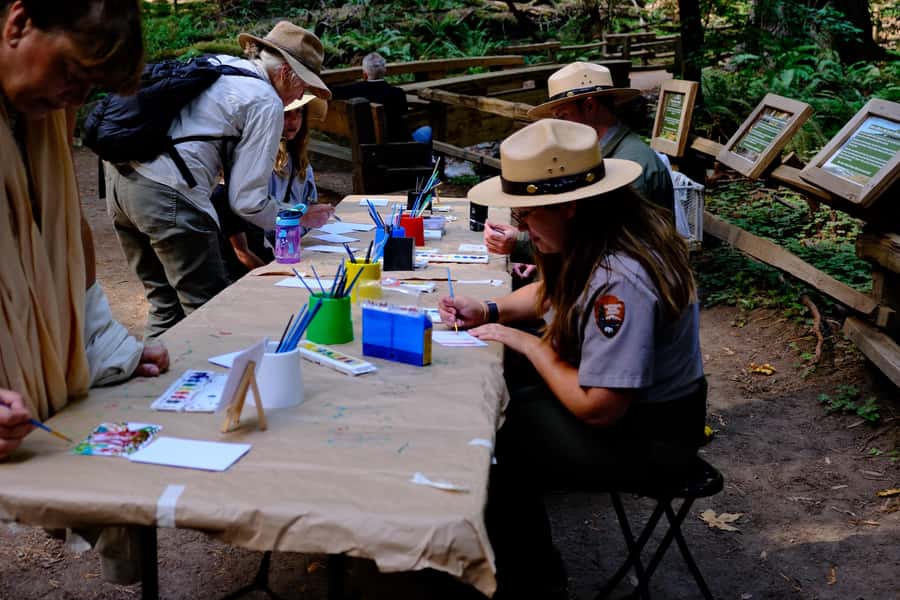 San Francisco: Muir Woods & Sausalito Tour w/Alcatraz Option - Key Highlights Worth Booking For