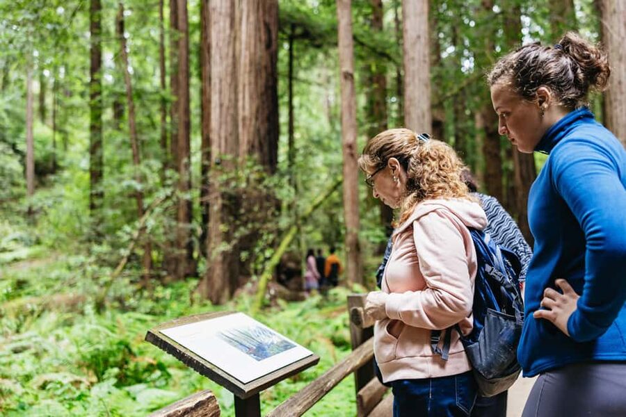 San Francisco: Muir Woods & Sausalito Tour with Ferry Option - How the air-conditioned bus + local guide keeps the day smooth