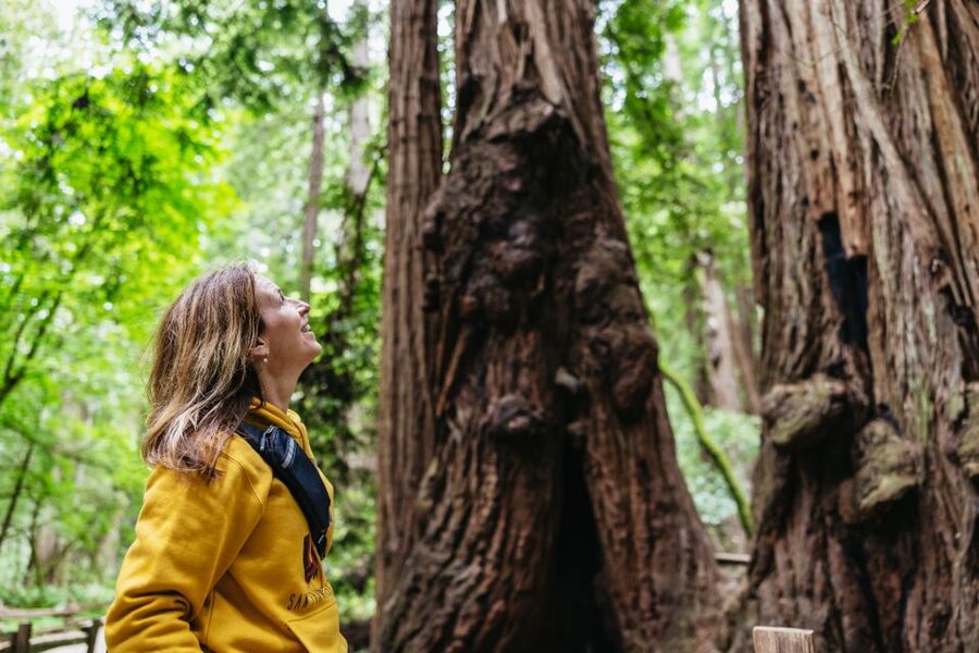 San Francisco: Muir Woods & Sausalito Tour with Ferry Option - Entering Muir Woods with a guaranteed 90-minute walking window