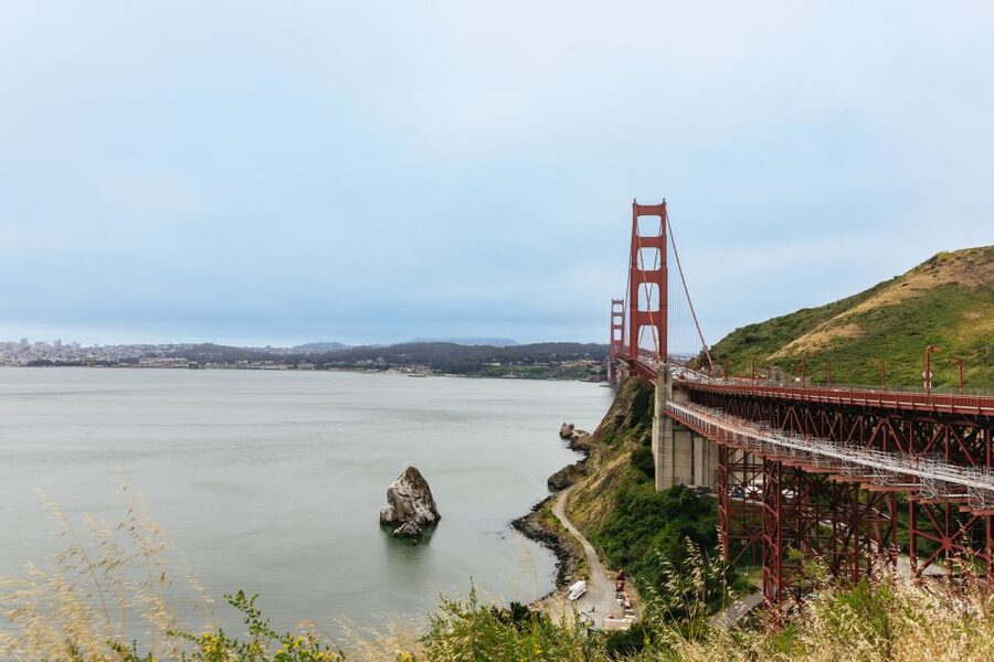 San Francisco: Muir Woods & Sausalito Tour with Ferry Option - Ferry back to San Francisco: calmer than rushing, flexible by voucher