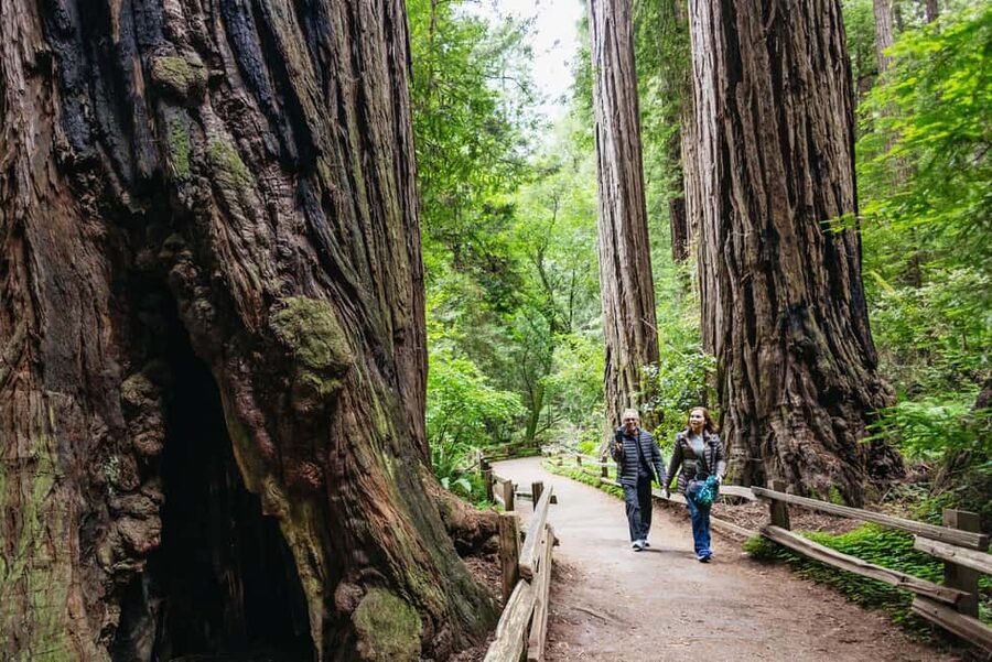 San Francisco: Muir Woods & Sausalito Tour with Ferry Option - Golden Gate Bridge scenic stop: great photos, but don’t count on clear skies