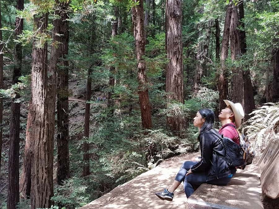 San Francisco: Muir Woods Tour & Golden Gate Bay Cruise - Key highlights worth lining up