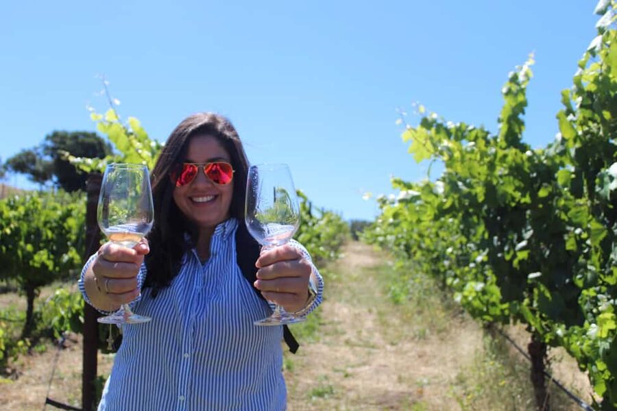 San Francisco: Napa and Sonoma Valley Wine Tour - Key highlights at a glance