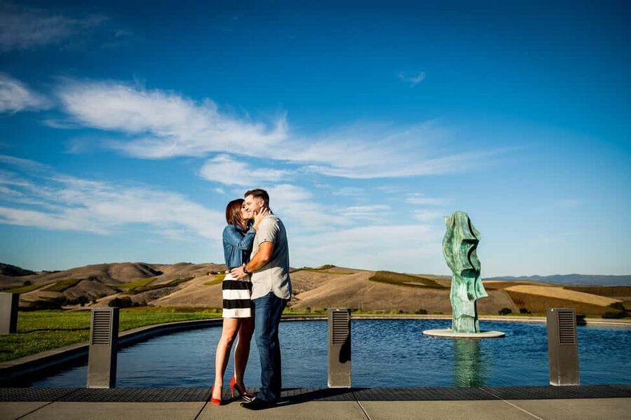 San Francisco: Napa and Sonoma Valley Wine Tour - Should you book this Napa and Sonoma Wine Tour from San Francisco?