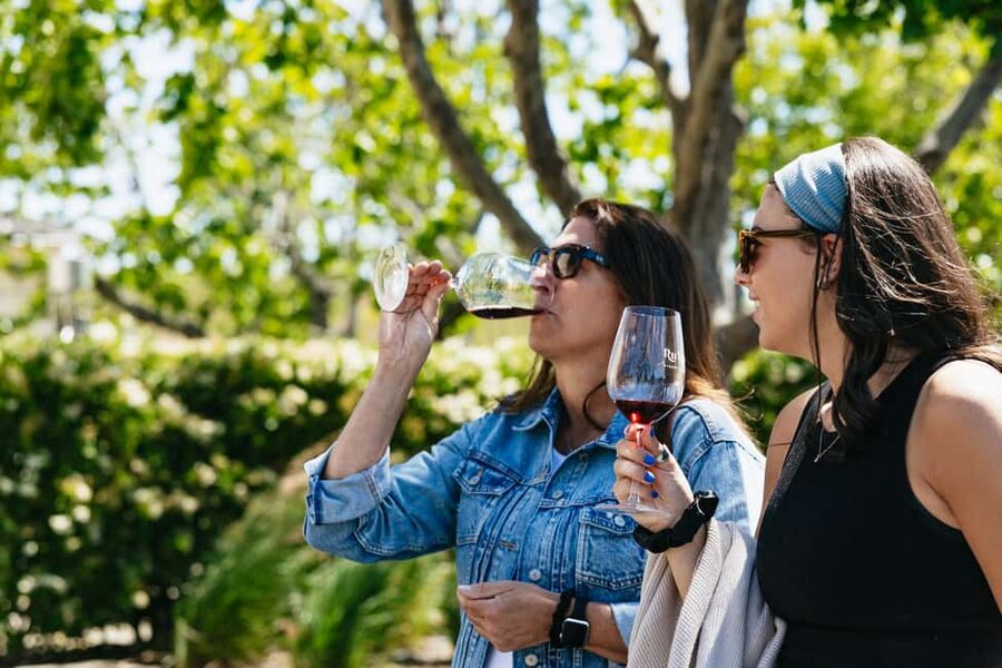 San Francisco: Napa and Sonoma Valley Wine Tour - From downtown pickup to Golden Gate Bridge photos