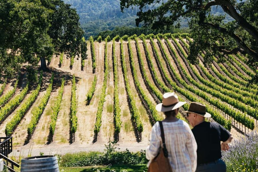 San Francisco: Napa and Sonoma Valley Wine Tour - The wine stops: what to expect from Napa + Sonoma tastings