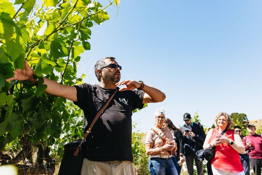 San Francisco: Napa and Sonoma Valley Wine Tour - Value for $165: what you’re paying for (and what you’re not)