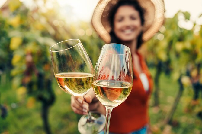 San Francisco: Napa & Sonoma Wine Tour & 24hr Hop-on Hop-off Tour - Why this Napa & Sonoma + 24-hour SF bus combo makes sense