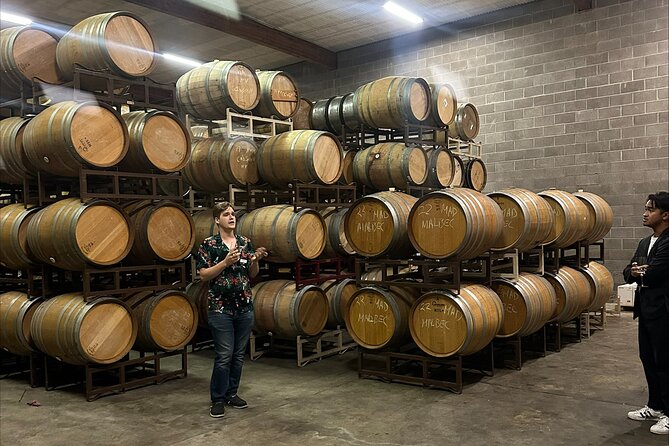 San Francisco: Napa & Sonoma Wine Tour & 24hr Hop-on Hop-off Tour - Golden Gate Bridge, Palace of Fine Arts, Lombard Street: plan these first
