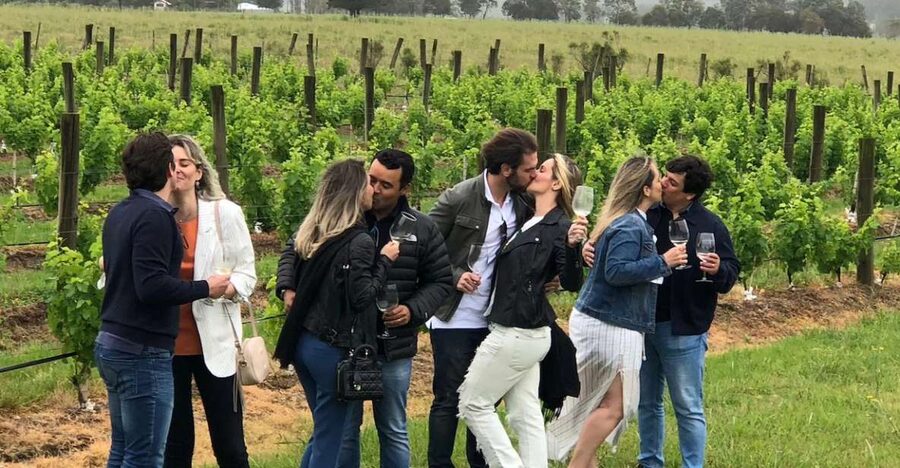 San Francisco: Napa Valley Half-Day Wine Tour with Tastings - Key highlights to look forward to