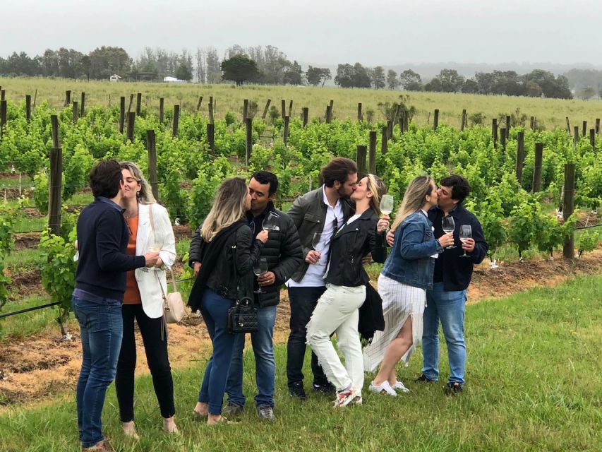 San Francisco: Napa Valley Half-Day Wine Tour with Tastings - Golden Gate to Sausalito to vine hills: the drive is part of the experience
