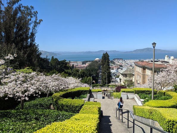 San Francisco Private City Tour - Coit Tower: A Quick History Fix With Great Views