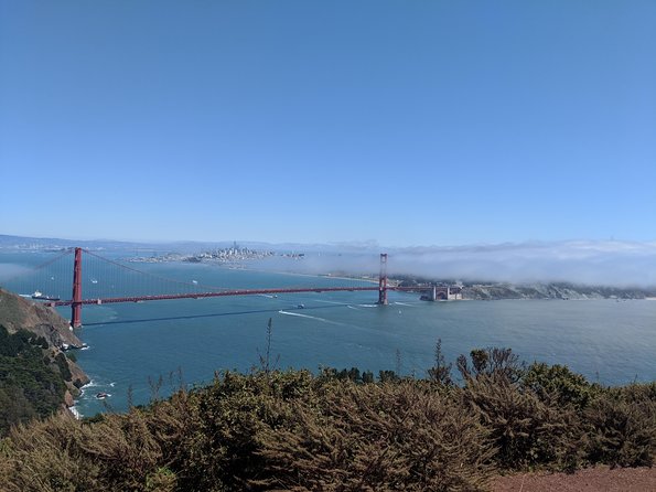 San Francisco Private City Tour - Filbert Steps and Telegraph Hill: Small Stops, Big City Personality