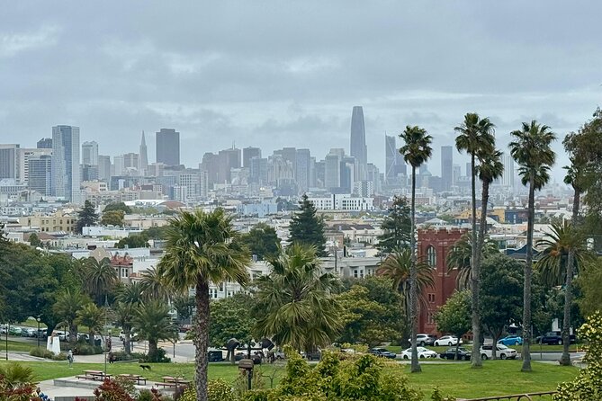 San Francisco Private City Tour in New EV Volkswagen Van - Key highlights you’ll feel immediately