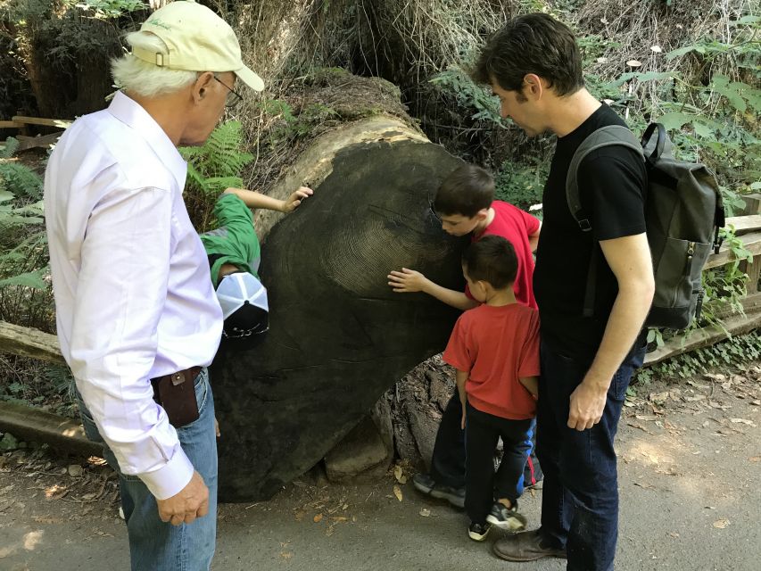 San Francisco: Private Muir Woods and Sausalito Tour - Sausalito: Bay Views and a 1-Hour Reset