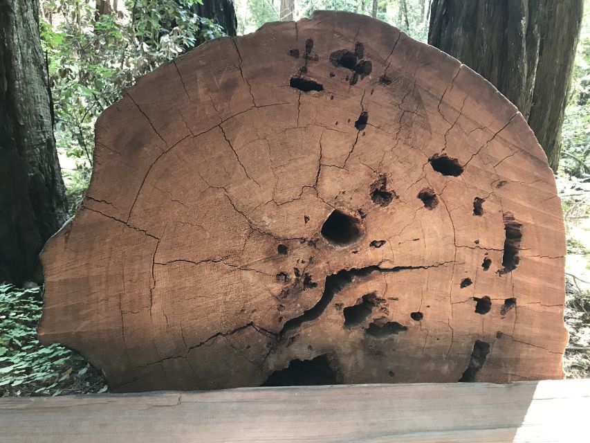 San Francisco: Private Muir Woods and Sausalito Tour - Private Van Value: Price, Group Size, and What You’re Really Paying For