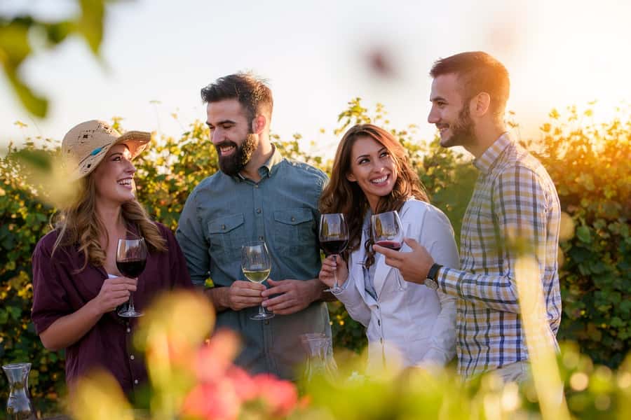 San Francisco: Redwood & Wine Country Tour with Lunch & Wine - Muir Woods National Monument: one hour that makes the redwoods worth it