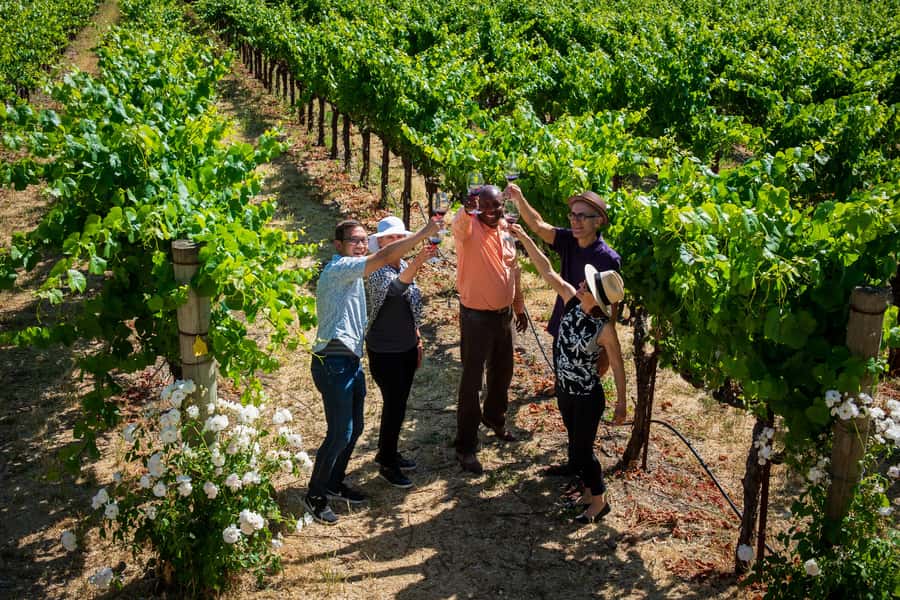 San Francisco: Redwood & Wine Country Tour with Lunch & Wine - Who this tour is best for