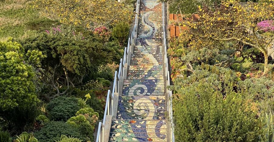 San Francisco's Wild Side, Ecotour With Meteorologist - Key highlights