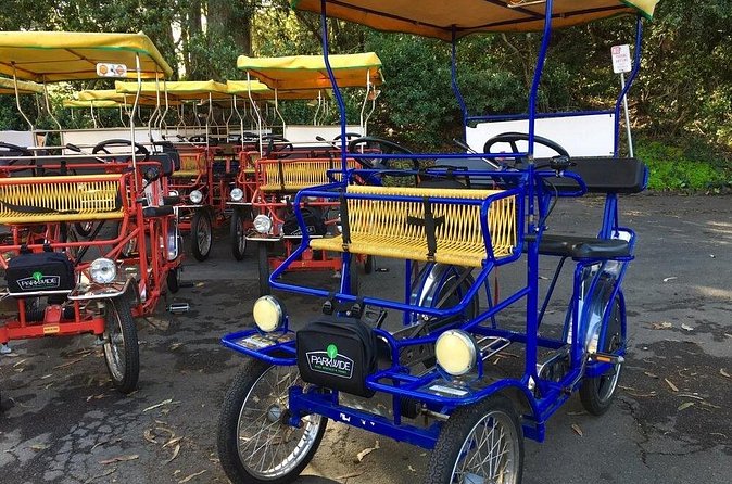 San Francisco: Scenic Surrey Ride Through Golden Gate Park - The Planned Route: Gardens, Tea, and the Museum Intermission
