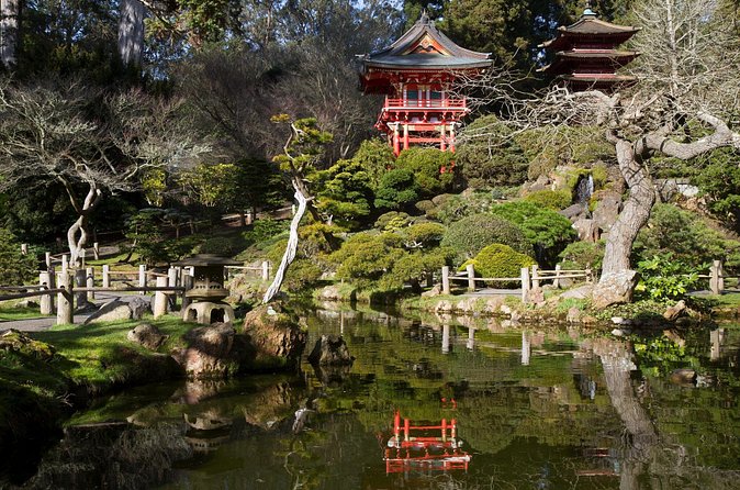 San Francisco: Scenic Surrey Ride Through Golden Gate Park - Stow Lake Loop: When the Ride Feels Like a Real Escape