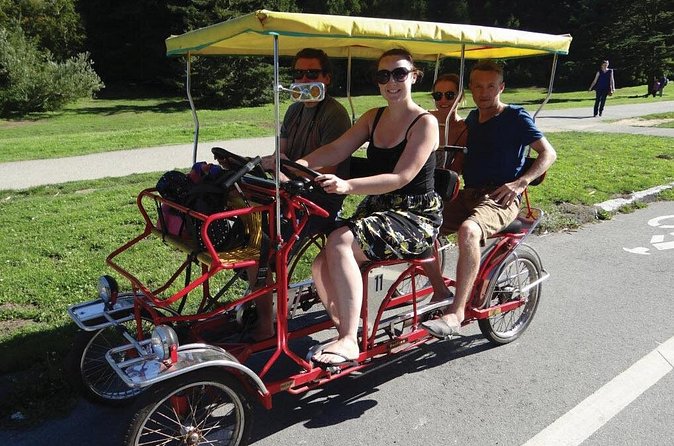 San Francisco: Scenic Surrey Ride Through Golden Gate Park - Who This Works Best For (And Who Should Skip It)