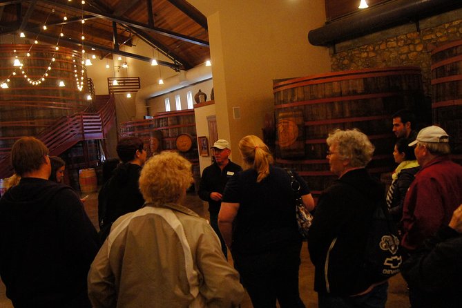 San Francisco Shore Excursion: Napa & Sonoma Full-Day Wine Tour - Bus Comfort, Timing, and the Stuff That Can Make or Break the Day