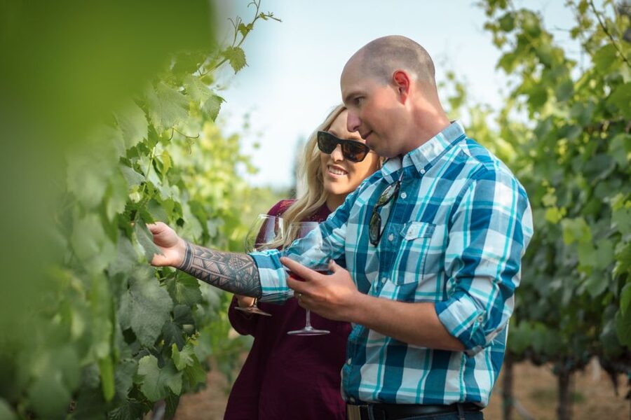 San Francisco: Sonoma Wine Country Tour with Tastings - Sonoma wine country, without the stress