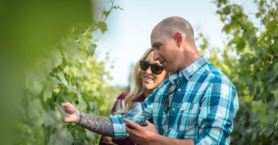 San Francisco: Sonoma Wine Country Tour with Tastings - Three boutique wineries and what the tastings are really teaching you