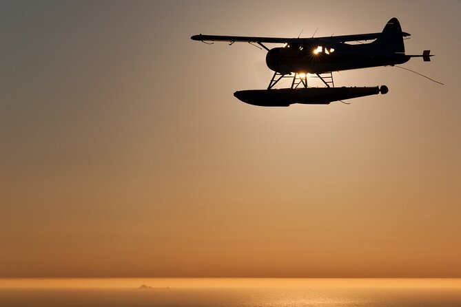 San Francisco Sunset Champagne Seaplane Tour - A 40-Minute Flight That Covers More Bay Icons Than You Expect