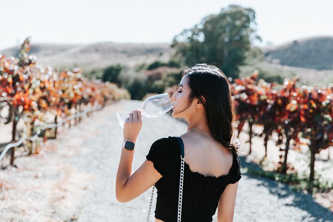 San Francisco Super Saver: Muir Woods & Wine Country w/ optional Gourmet Lunch - Mayo Family Winery: family-owned, small-batch style