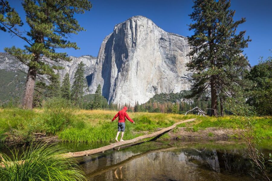 San Francisco to/from Yosemite National Park: 1-Way Transfer - What you’ll see on the way: historic mining towns plus Yosemite Valley photo targets