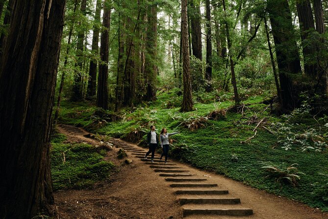 San Francisco to Muir Woods Shuttle - Group Size, Comfort, and Guide Styles on This Route
