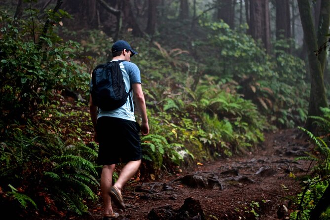 San Francisco to Muir Woods Shuttle - Who Should Book This Shuttle (and Who Might Prefer Another Plan)
