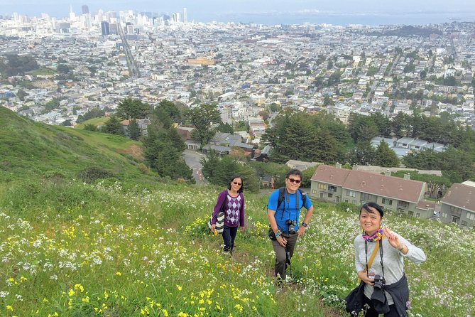 San Francisco Urban Hike: Castro and Twin Peaks - Castro Theatre to Hill Country: Why This Hike Starts Here