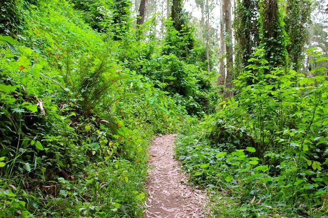 San Francisco Urban Hike: Castro and Twin Peaks - Tank Hill and the 211-Step Pemberton Place Stairway Descent